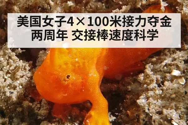 美国女子4×100米接力夺金两周年 交接棒速度科学