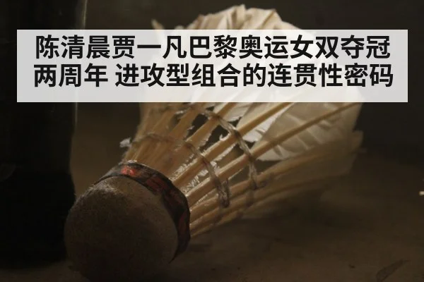 陈清晨贾一凡巴黎奥运女双夺冠两周年 进攻型组合的连贯性密码